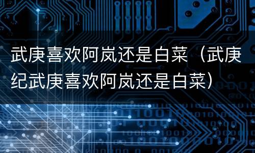 武庚喜欢阿岚还是白菜（武庚纪武庚喜欢阿岚还是白菜）