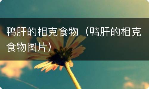 鸭肝的相克食物（鸭肝的相克食物图片）