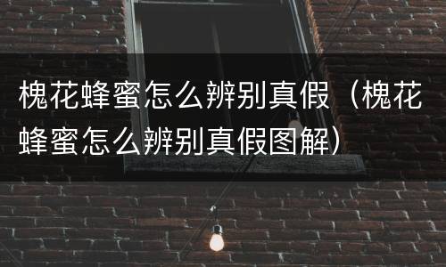 槐花蜂蜜怎么辨别真假（槐花蜂蜜怎么辨别真假图解）
