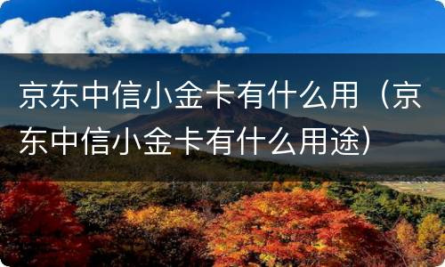 京东中信小金卡有什么用（京东中信小金卡有什么用途）