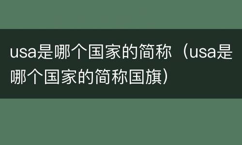 usa是哪个国家的简称（usa是哪个国家的简称国旗）