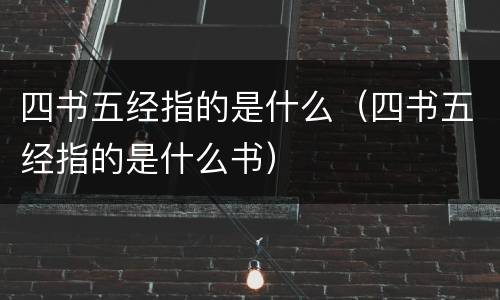 四书五经指的是什么（四书五经指的是什么书）