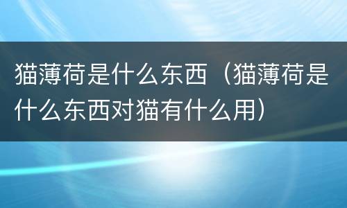 猫薄荷是什么东西（猫薄荷是什么东西对猫有什么用）