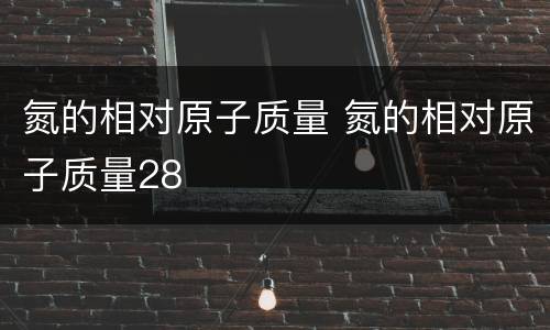 氮的相对原子质量 氮的相对原子质量28