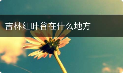 吉林红叶谷在什么地方