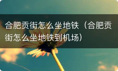 合肥贡街怎么坐地铁（合肥贡街怎么坐地铁到机场）