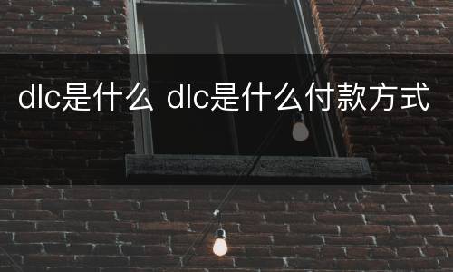 dlc是什么 dlc是什么付款方式