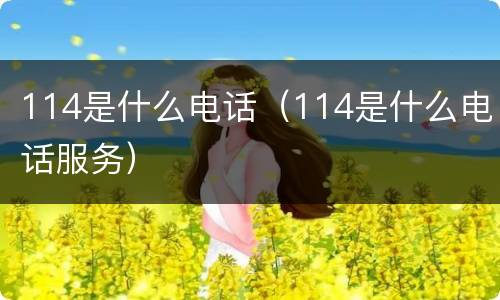 114是什么电话（114是什么电话服务）