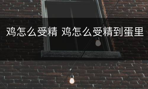 鸡怎么受精 鸡怎么受精到蛋里