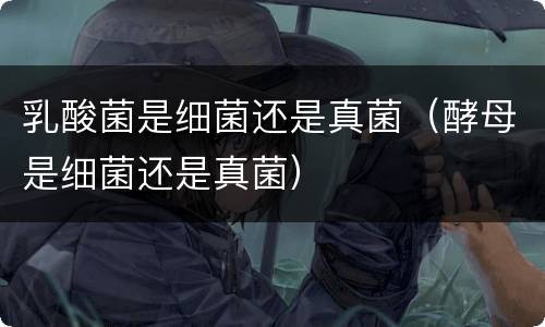 乳酸菌是细菌还是真菌（酵母是细菌还是真菌）