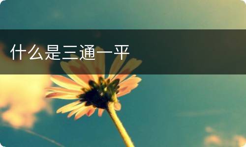 什么是三通一平