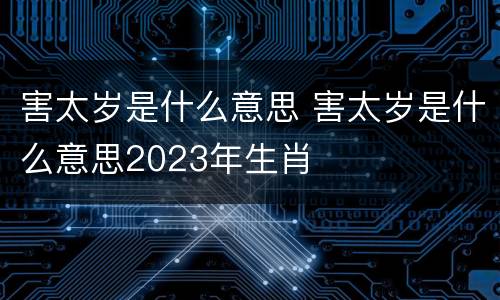 害太岁是什么意思 害太岁是什么意思2023年生肖