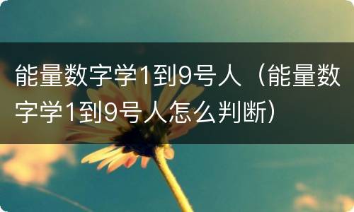 能量数字学1到9号人（能量数字学1到9号人怎么判断）