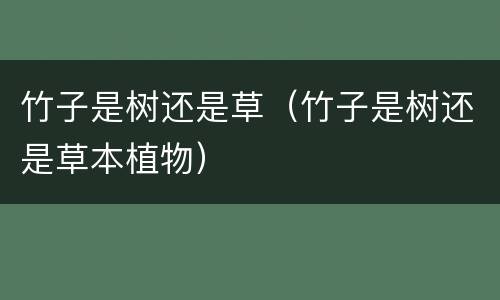 竹子是树还是草（竹子是树还是草本植物）