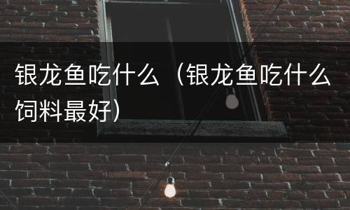 银龙鱼吃什么（银龙鱼吃什么饲料最好）