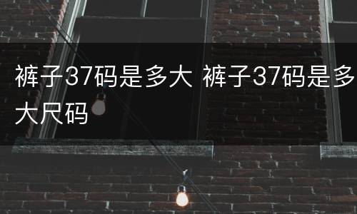 裤子37码是多大 裤子37码是多大尺码