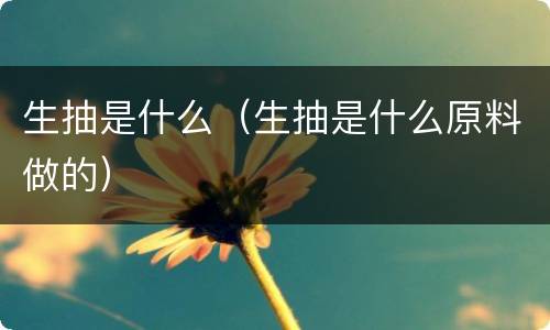 生抽是什么（生抽是什么原料做的）