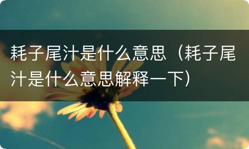 耗子尾汁是什么意思（耗子尾汁是什么意思解释一下）