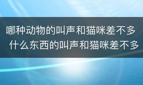 哪种动物的叫声和猫咪差不多 什么东西的叫声和猫咪差不多
