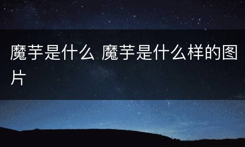 魔芋是什么 魔芋是什么样的图片
