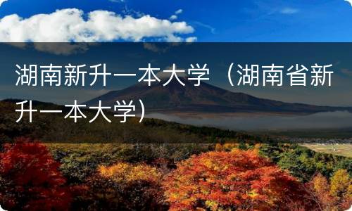 湖南新升一本大学（湖南省新升一本大学）