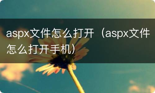 aspx文件怎么打开（aspx文件怎么打开手机）