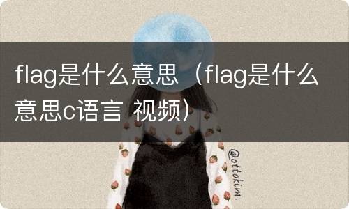 flag是什么意思（flag是什么意思c语言 视频）