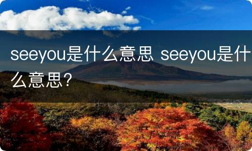 seeyou是什么意思 seeyou是什么意思?