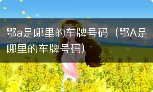 鄂a是哪里的车牌号码（鄂A是哪里的车牌号码）