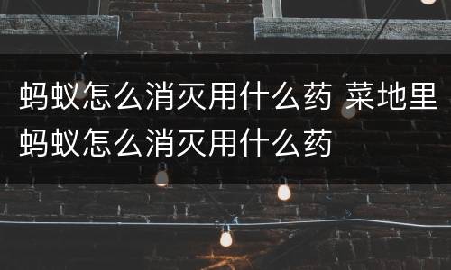 蚂蚁怎么消灭用什么药 菜地里蚂蚁怎么消灭用什么药
