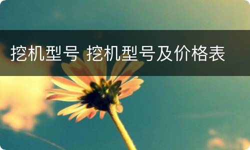 挖机型号 挖机型号及价格表