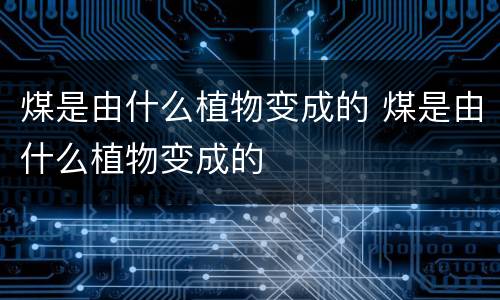 煤是由什么植物变成的 煤是由什么植物变成的