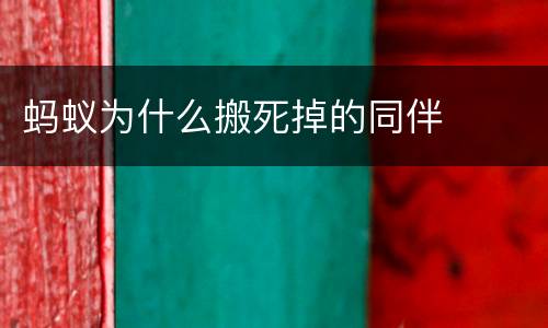 蚂蚁为什么搬死掉的同伴