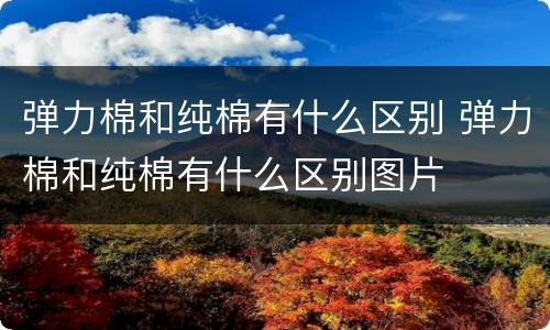 弹力棉和纯棉有什么区别 弹力棉和纯棉有什么区别图片