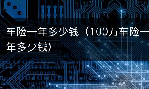 车险一年多少钱（100万车险一年多少钱）