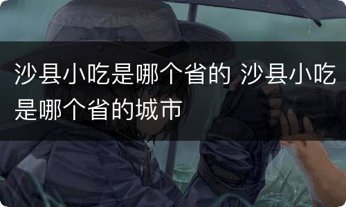 沙县小吃是哪个省的 沙县小吃是哪个省的城市