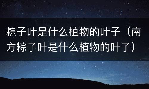 粽子叶是什么植物的叶子（南方粽子叶是什么植物的叶子）