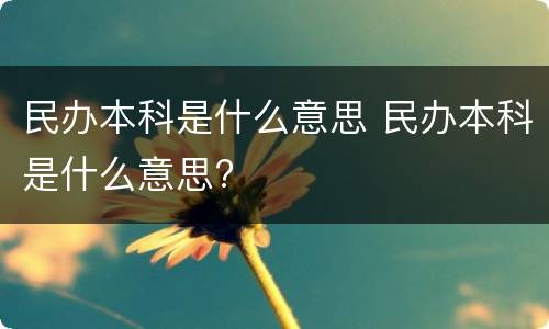 民办本科是什么意思 民办本科是什么意思?