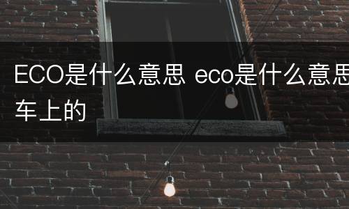 ECO是什么意思 eco是什么意思车上的
