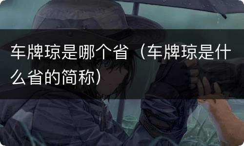 车牌琼是哪个省（车牌琼是什么省的简称）