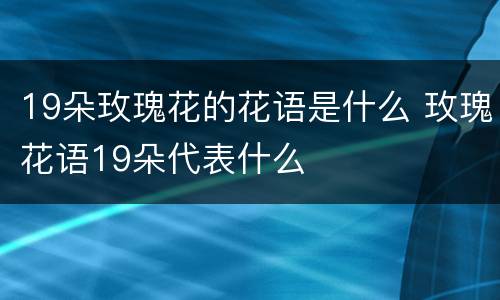 19朵玫瑰花的花语是什么 玫瑰花语19朵代表什么