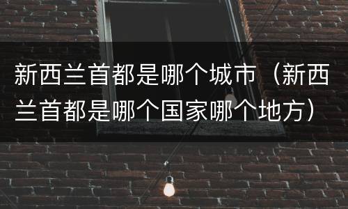 新西兰首都是哪个城市（新西兰首都是哪个国家哪个地方）