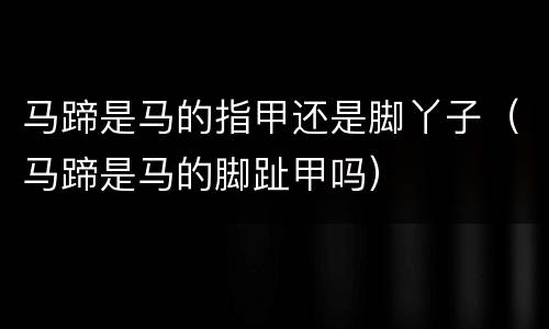 马蹄是马的指甲还是脚丫子（马蹄是马的脚趾甲吗）