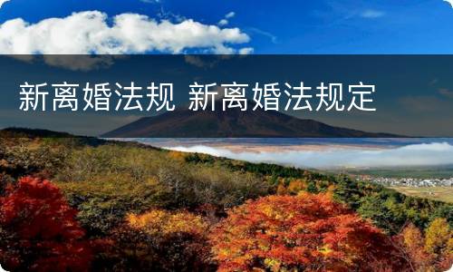 新离婚法规 新离婚法规定