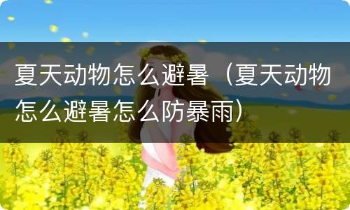 夏天动物怎么避暑（夏天动物怎么避暑怎么防暴雨）