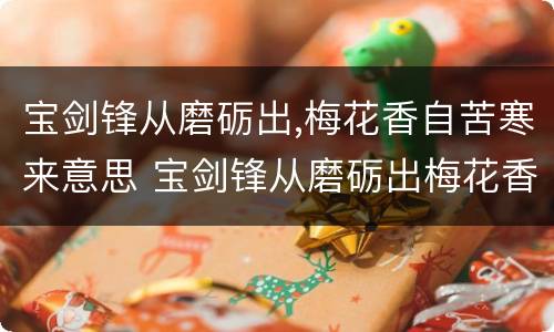 宝剑锋从磨砺出,梅花香自苦寒来意思 宝剑锋从磨砺出梅花香自苦寒来意思是