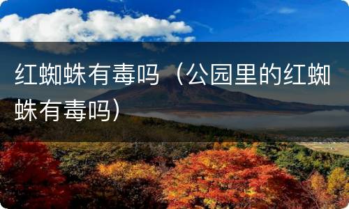 红蜘蛛有毒吗（公园里的红蜘蛛有毒吗）