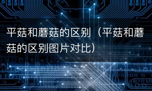 平菇和蘑菇的区别（平菇和蘑菇的区别图片对比）