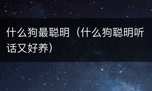 什么狗最聪明（什么狗聪明听话又好养）