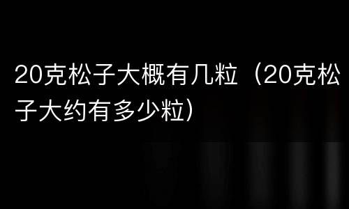 20克松子大概有几粒（20克松子大约有多少粒）